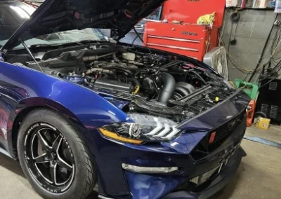 Mustang Work Gallery