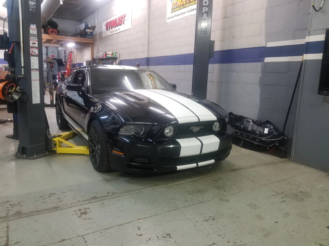 Mustang on the lift