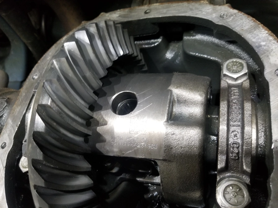 rear differential